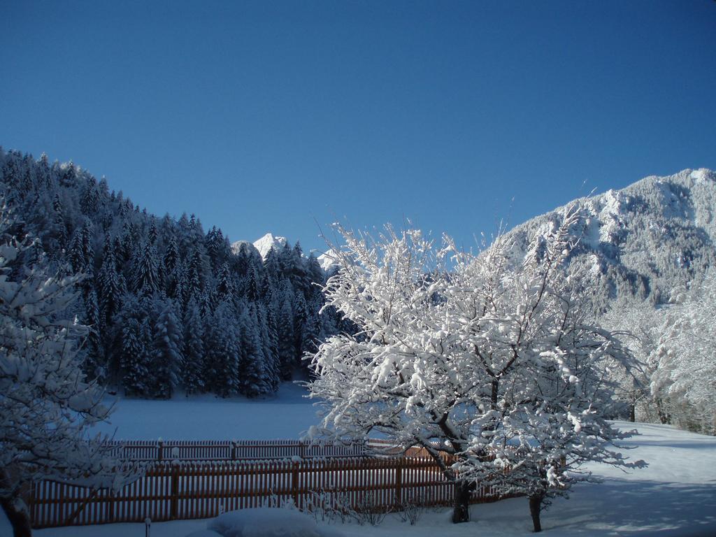 Villa Farm Kosir Kranjska Gora Exterior foto
